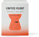 Coffee Plant Coffee Espresso Ground Box 10x11g