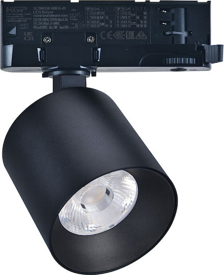 Adeleq LED Warm White Spot in Black Colour