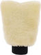 Carsafety General Purpose Sponge for Body