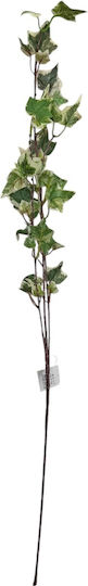 Zweigstelle Efeu Zweifarbig Kunststoff 82cm Grünes 22170 Code 16387
