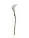 Sucursala Calla Din Plastic 72cm Alb 25190 Cod 16373