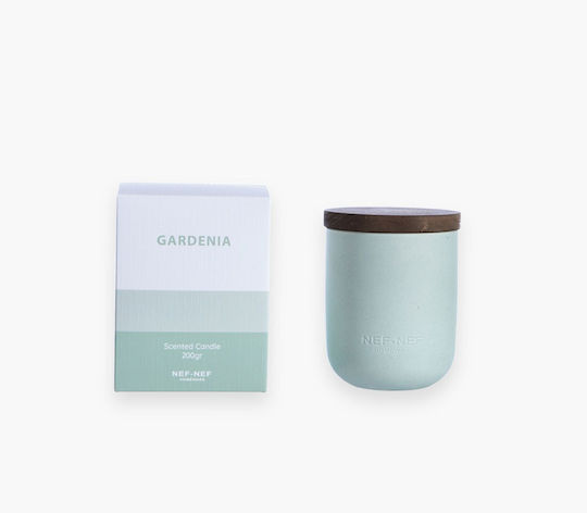 Nef-Nef Homeware Gardenia Αρωματικό σε Βάζο Πράσινο Nef-Nef Homeware Gardenia Αρωματικό σε Βάζο Πράσινο