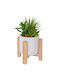 Keramischer Kaktus mit Holzbasis 10x9x20cm Iliadis 92910 Set 2 Stücke Material Holz
