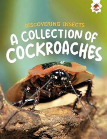 Discovering Insects: A Collection Of Cockroaches - Hungry Tomato Ltd - Paperback / Softback