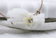 Kymi Christening Charm White Bracelet 50 Pieces