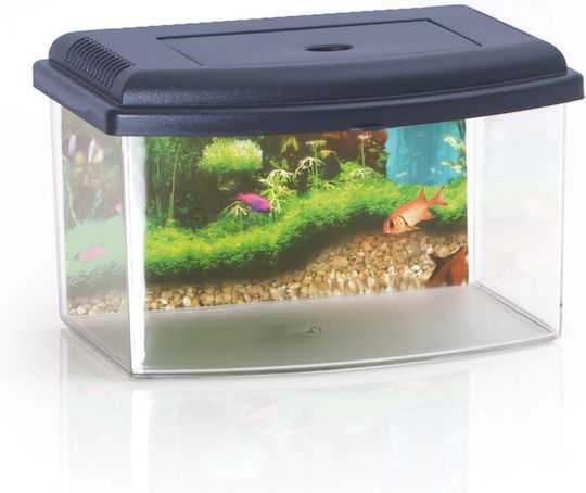 Georplast Aquarium Fish Capacity 5.5L 28x20x28cm Blue
