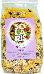 Solaris Plant Μούσλι 500gr