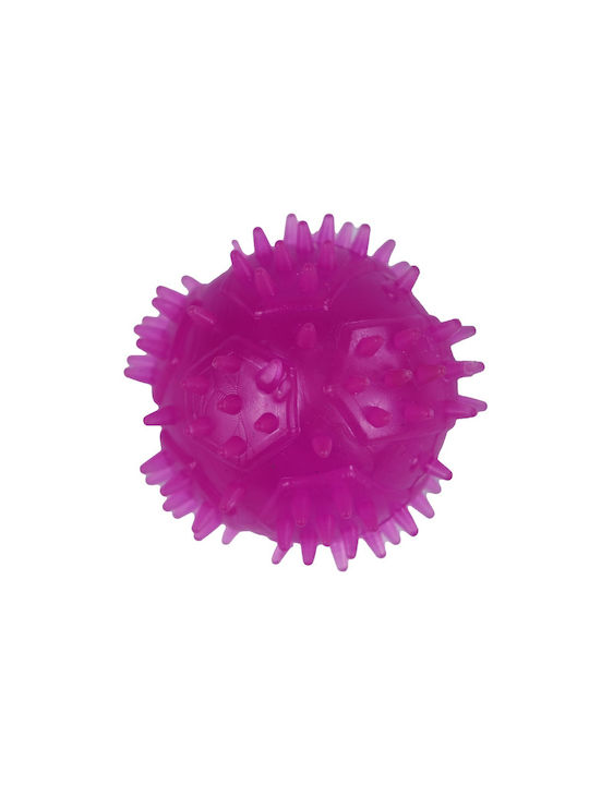 Agility Glob Jucărie Pentru Căței Din Cauciuc Violet 1 Bucată