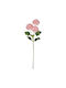 Florista Ντάλια Υ63cm Ροζ Ροζ