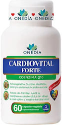 Onedia Cardiovital Forte Coenzyme Q10 25mg 60 κάψουλες