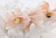 Kymi Christening Charm Bracelet Pink 2 Pieces MN328