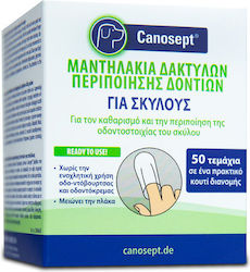 Canosept Zahnbürste für Stein & Platte 50Stücke