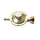 Gas Regulator Medium Pressure
