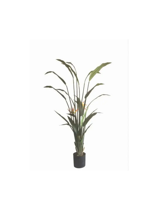 All Τεχνητό Φυτό Εξωτερικού Χώρου Strelitzia Ύψος 190cm