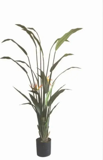 All Τεχνητό Φυτό Εξωτερικού Χώρου Strelitzia Ύψος 190cm