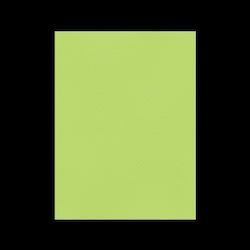 Favini Cardboard 50x70cm 220gsm No15 Pistachio