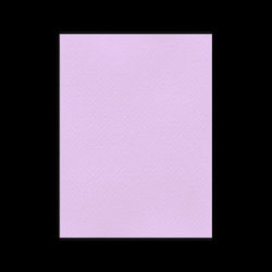 Favini Картон 70x100см 220гр №24 Лилав