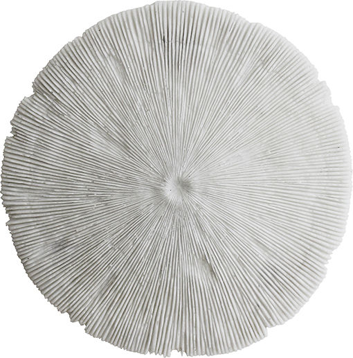 Decorațiune Coral Pentru Perete D.35cm