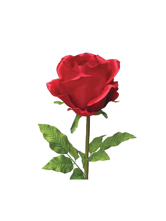 Κοκκινο Κλαδι Τριανταφυλλο Κοτσανι Φ22x95cm 12/κιβ