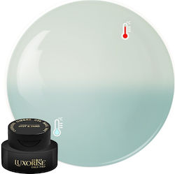 Luxorise Gel