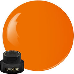 Gel UV Nagelkunst Babyboomer Luxorise Kissen Om...