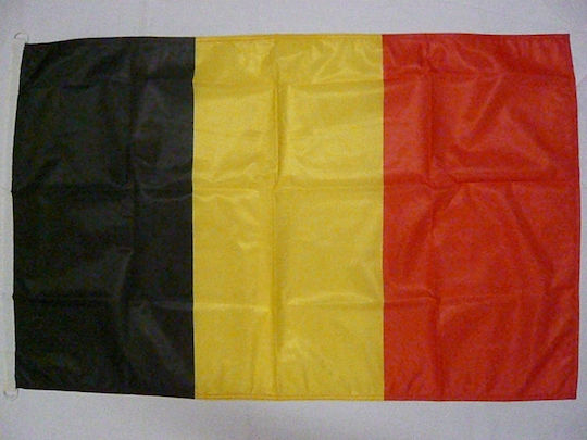 Steag Belgia Poliester 150x100cm