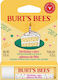 Burt's Bees Lippenbalsam Birthday Cake 4,25 g