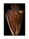 Getrockneter Blumenstrauß in Orangenfarbe 60cm