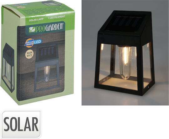 Wall Mounted Solar Light Warm White with Photocell 9x65x13cm