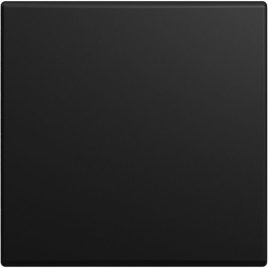 Busch-Jaeger Recessed Wall Switch with Black Frame