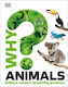 Warum? Tiere - Dorling Kindersley Ltd - Gebundenes Buch