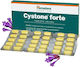 Himalaya Wellness Cystone Forte Ειδικό Συμπλήρωμα Διατροφής 60 ταμπλέτες