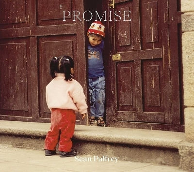Sean Palfrey: Promise Hurtwood Books