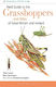 Field Guide To The Grasshoppers And Allies Of G...