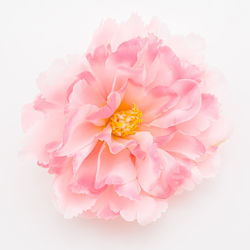 Novita Haargummis Blumen Pfingstrose Rosa