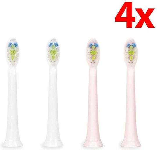 Zelmer Zelmer Elektrische Zahnbürstenköpfe 2058822 4er Pack