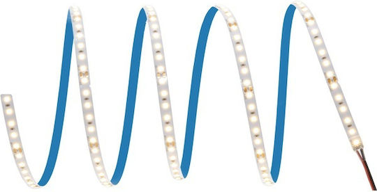 Ledvance LED Strip 24V Natural White Light 5m