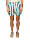 Men's Swim Shorts Turquoise Striped