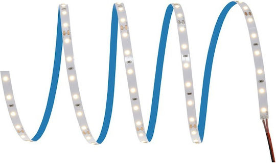 Ledvance Ταινία LED 24V Φυσικό Λευκό Φως 5m