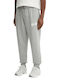 Herren-Sweatpants Mit Elastischem Bund Grau