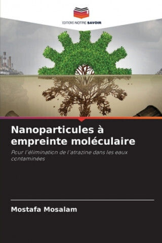 Nanoparticules A Empreinte Moleculaire