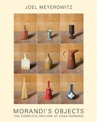 Joel Meyerowitz: Morandi's Objects: The Complete Archive Of Casa Morandi Damiani