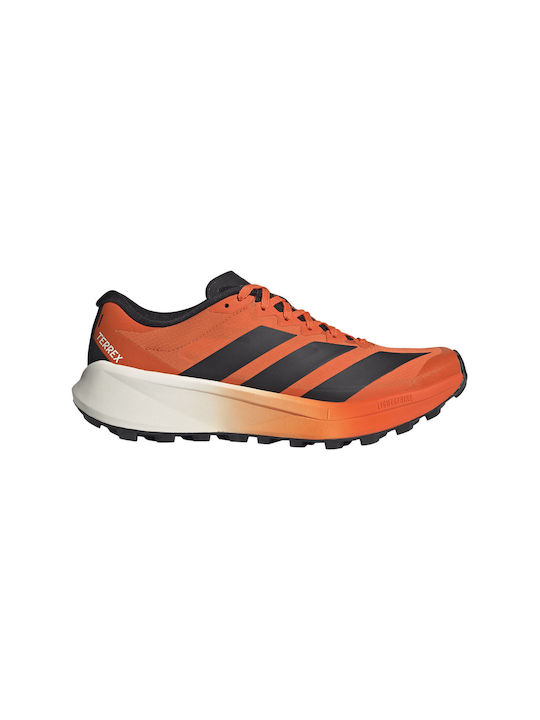 adidas Terrex Agravic Pantofi Sport Pentru Bărb...