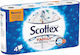 Scottex Кухненска Хартия 4 Рола 5029053023960