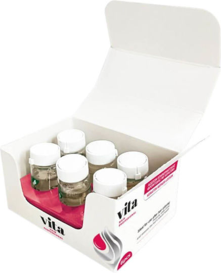 Vita Hair Professional Vita Hair Professional Haar-Ampullen Stärkung 6x10ml