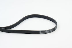 Continental Ctam 6pk1080 Ribbed Transmission Belt Continental Ctam 6pk1080 Ribbed Transmission Belt