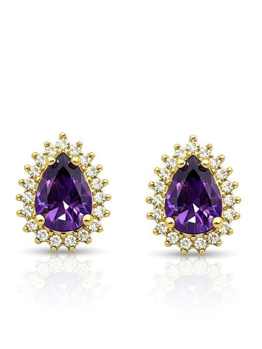 Paraxenies Gold Plated Silver Stud Earrings with Purple Stones