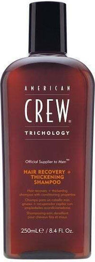 American Crew American Crew Dickstoff Shampoos Gegen Trockene Kopfhaut Für Zerbrechliches Haar 250ml
