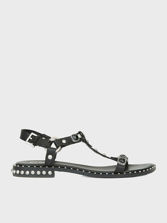 Podium Women's Flat Sandals Black