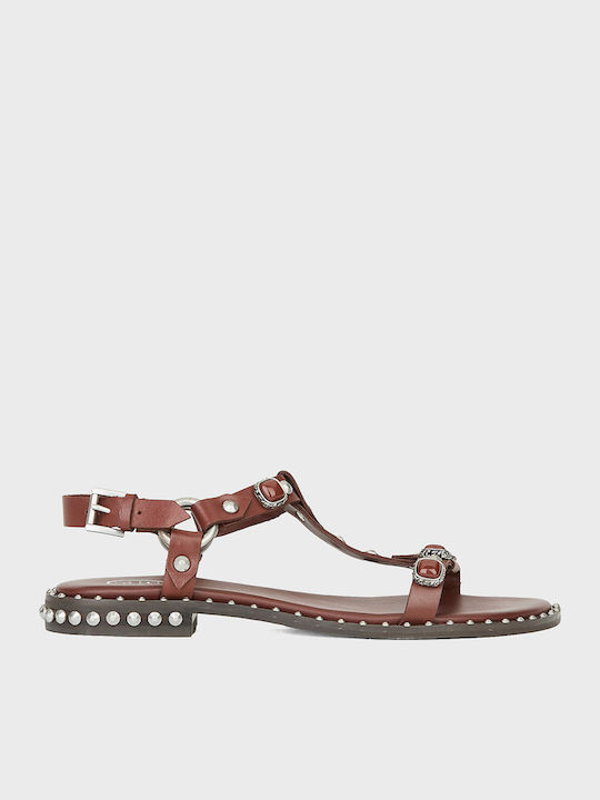Ash Podium Women's Flat Sandals Brown